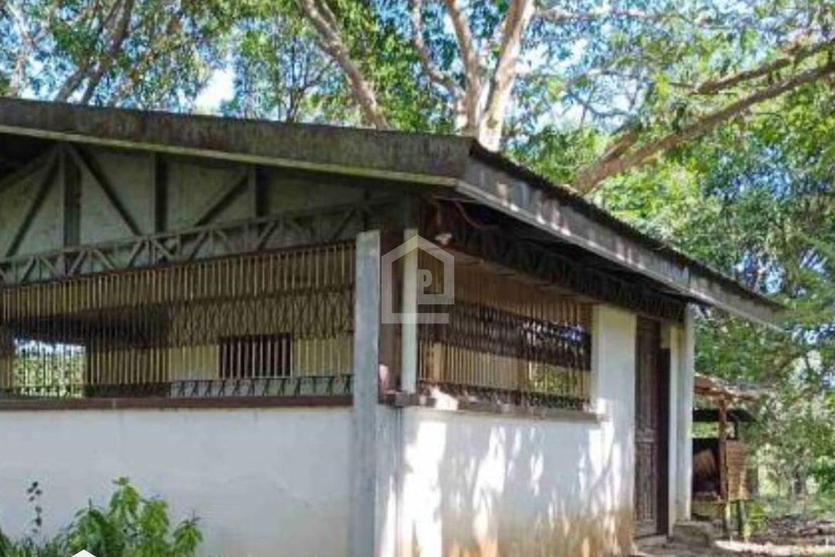 Land for Sale in Ayala, Magalang, Pampanga – photo 3
