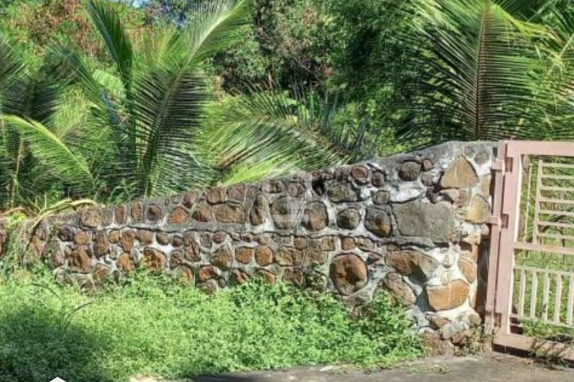 Land for Sale in Ayala, Magalang, Pampanga – photo 5