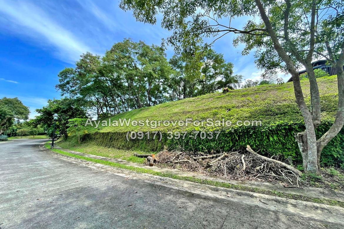 Land for Sale in Ayala Westgrove Heights, Inchican, Silang, Cavite – photo 5