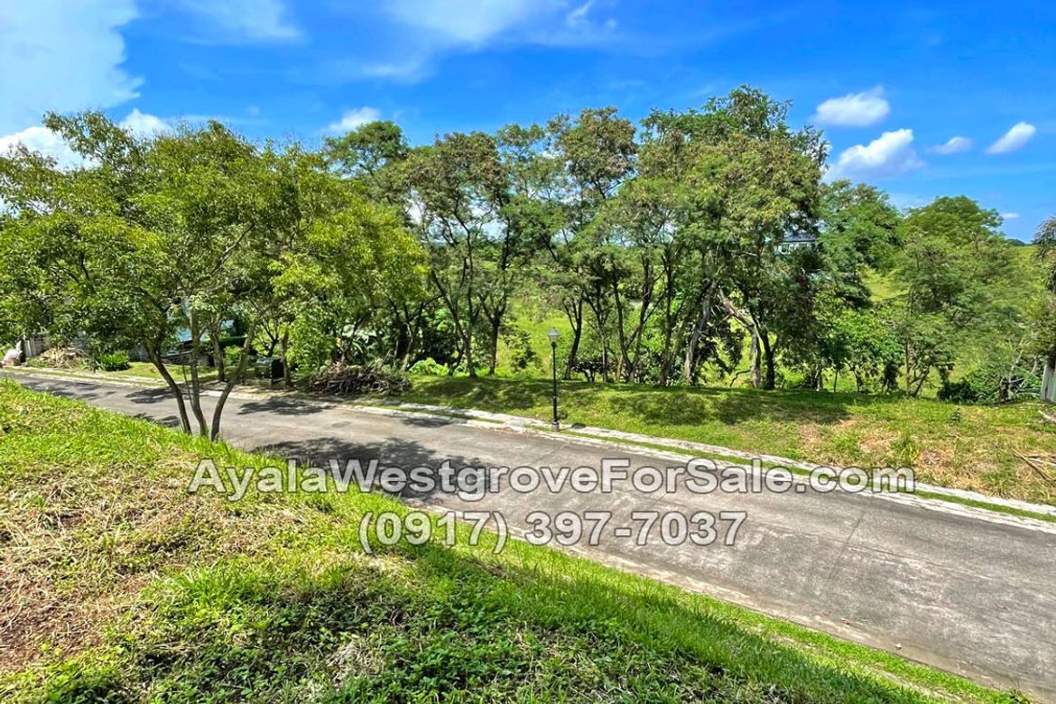 Land for Sale in Ayala Westgrove Heights, Inchican, Silang, Cavite – photo 7