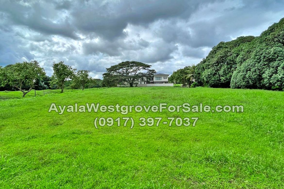 Land for Sale in Ayala Westgrove Heights, Inchican, Silang, Cavite