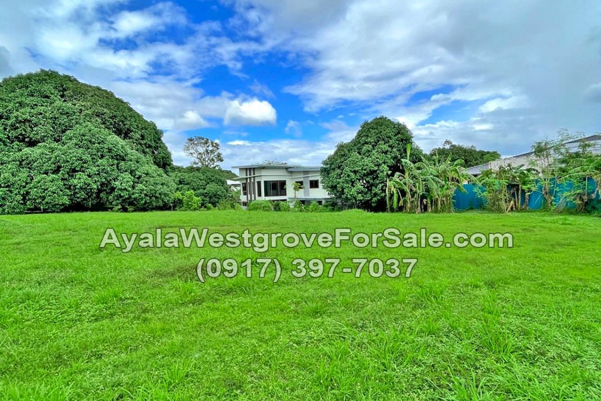 Land for Sale in Ayala Westgrove Heights, Inchican, Silang, Cavite – photo 2