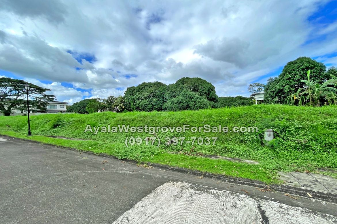 Land for Sale in Ayala Westgrove Heights, Inchican, Silang, Cavite – photo 3