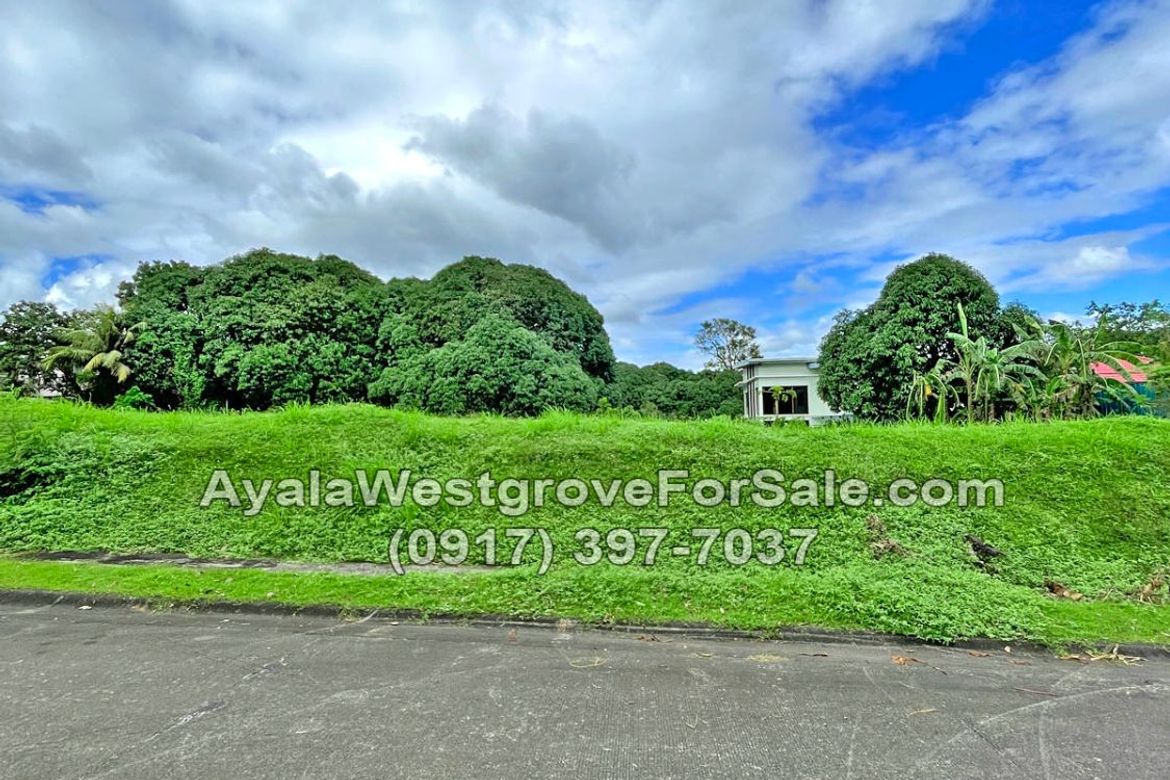 Land for Sale in Ayala Westgrove Heights, Inchican, Silang, Cavite – photo 6