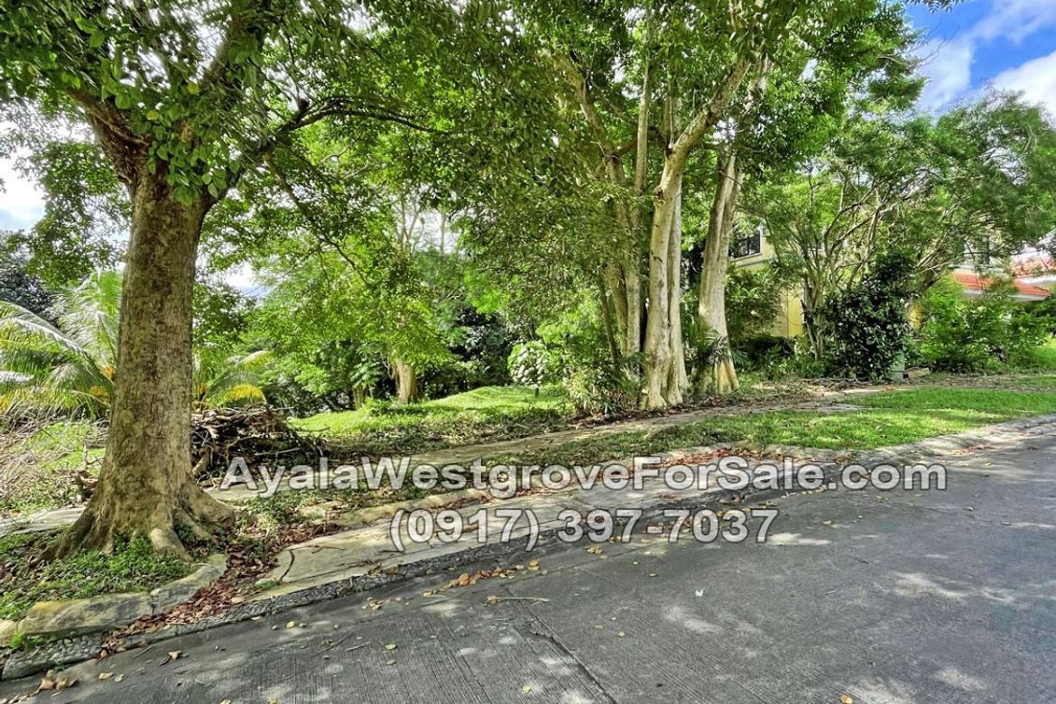 Land for Sale in Ayala Westgrove Heights, Inchican, Silang, Cavite