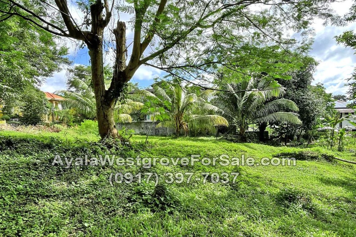 Land for Sale in Ayala Westgrove Heights, Inchican, Silang, Cavite – photo 3