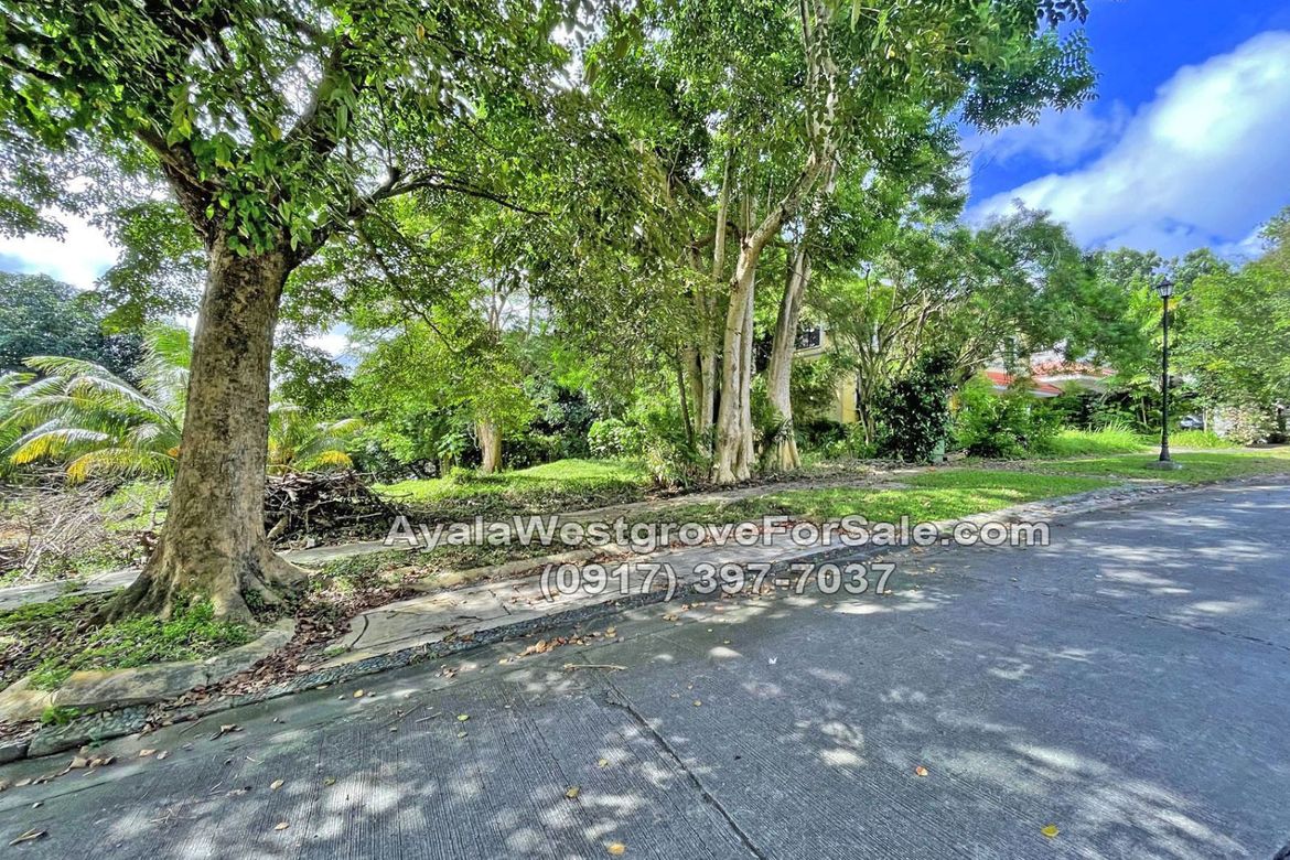 Land for Sale in Ayala Westgrove Heights, Inchican, Silang, Cavite – photo 6