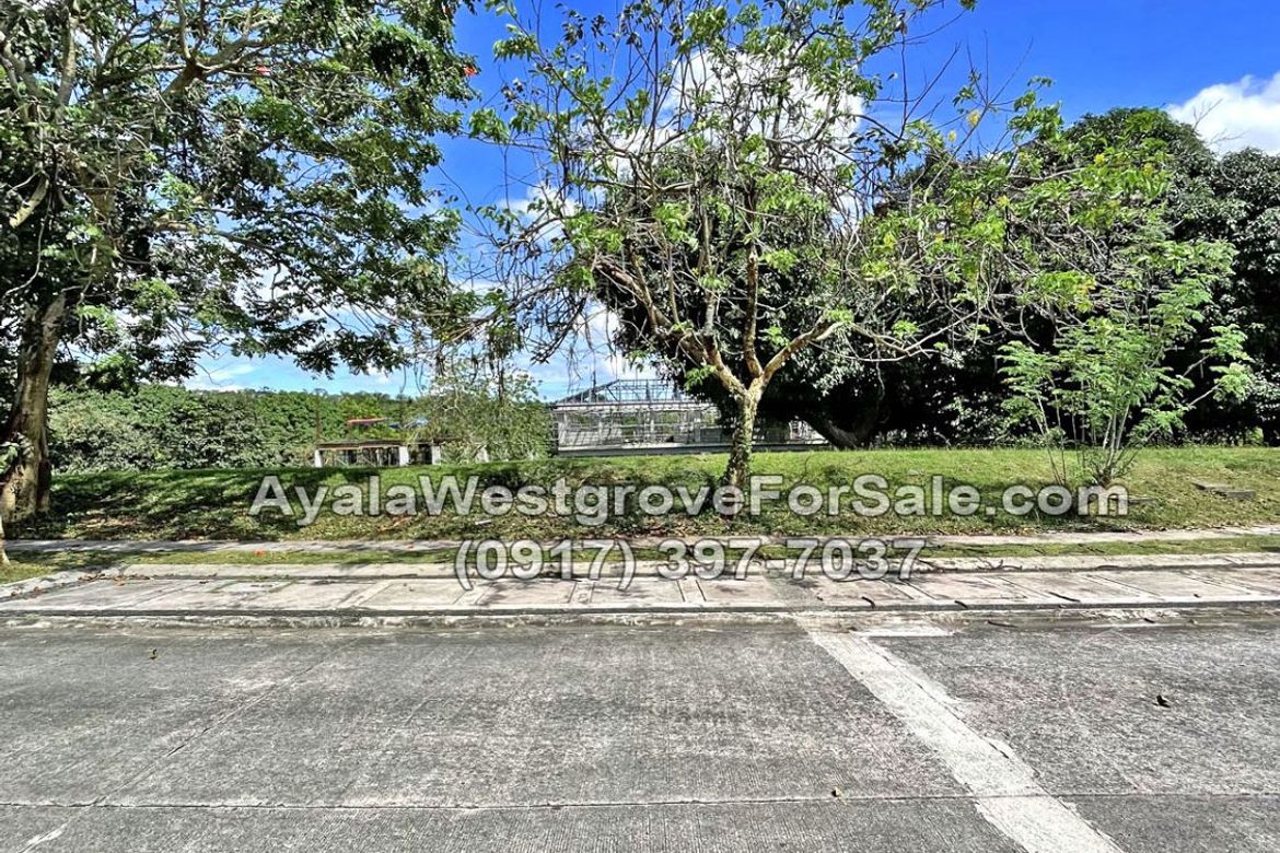 Land for Sale in Ayala Westgrove Heights, Inchican, Silang, Cavite – photo 3