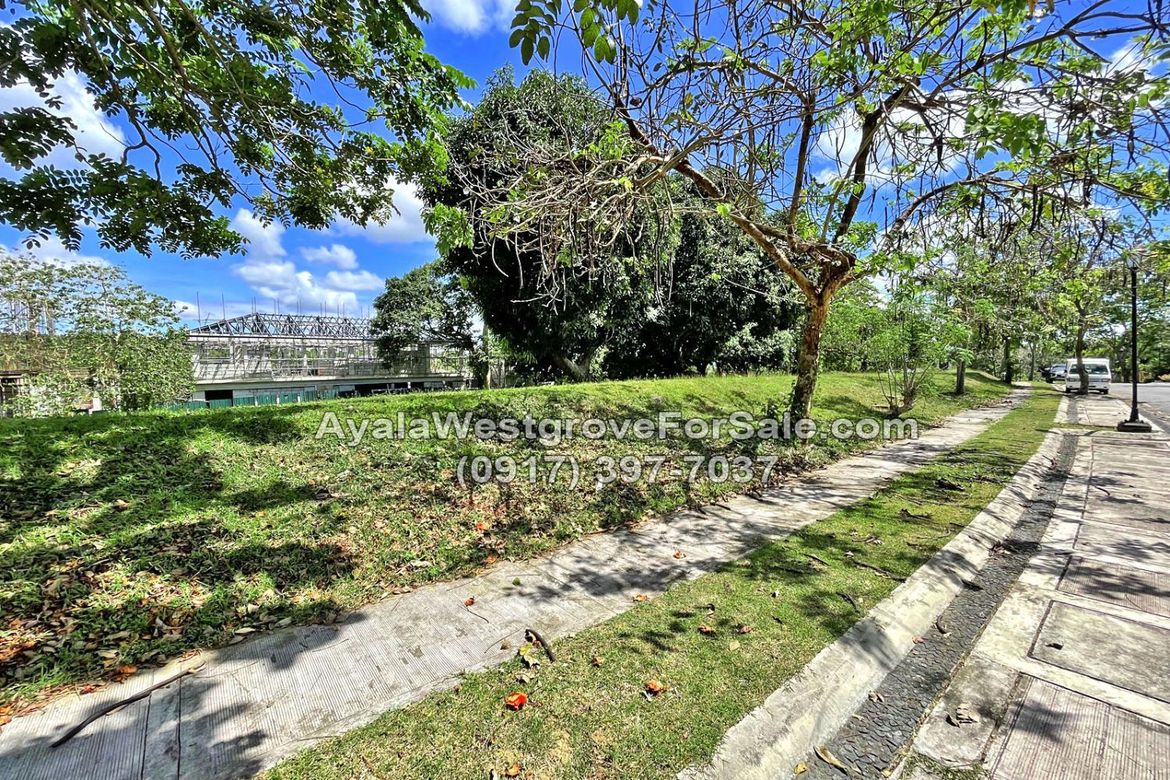 Land for Sale in Ayala Westgrove Heights, Inchican, Silang, Cavite – photo 4