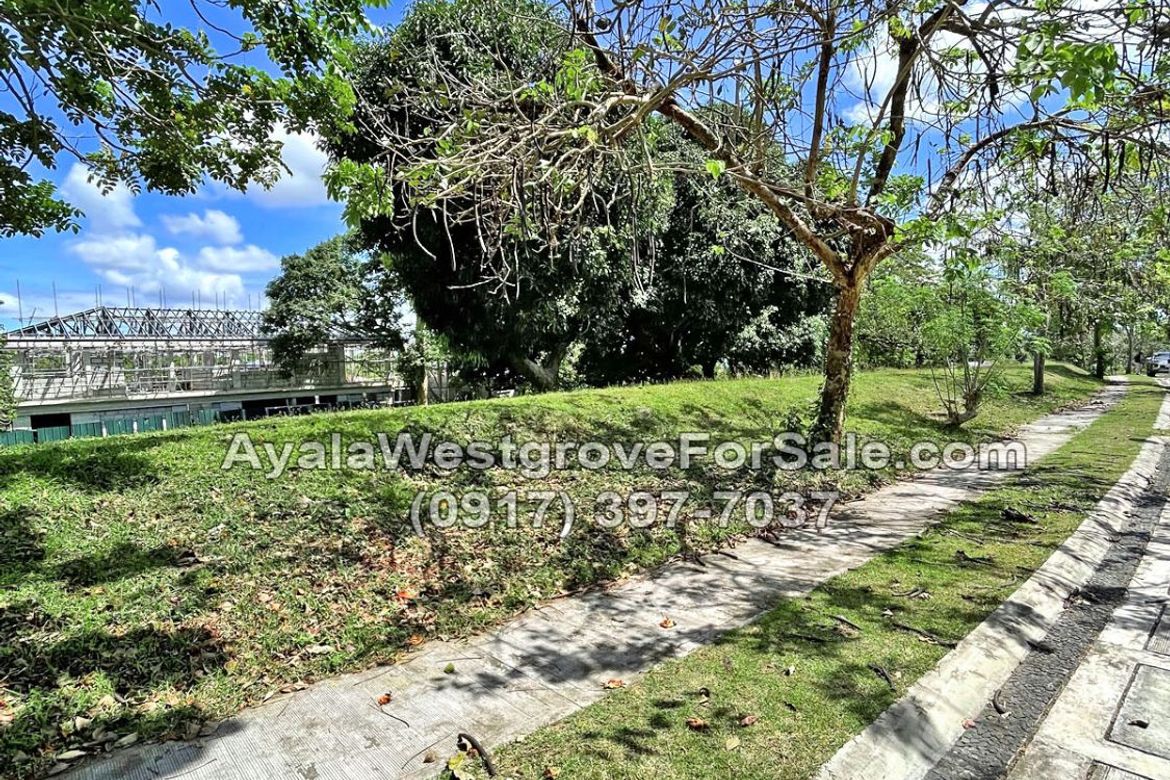 Land for Sale in Ayala Westgrove Heights, Inchican, Silang, Cavite – photo 6