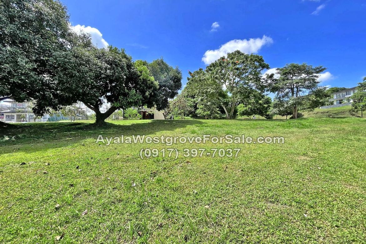 Land for Sale in Ayala Westgrove Heights, Inchican, Silang, Cavite – photo 7