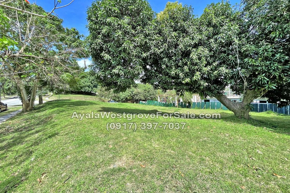 Land for Sale in Ayala Westgrove Heights, Inchican, Silang, Cavite – photo 8