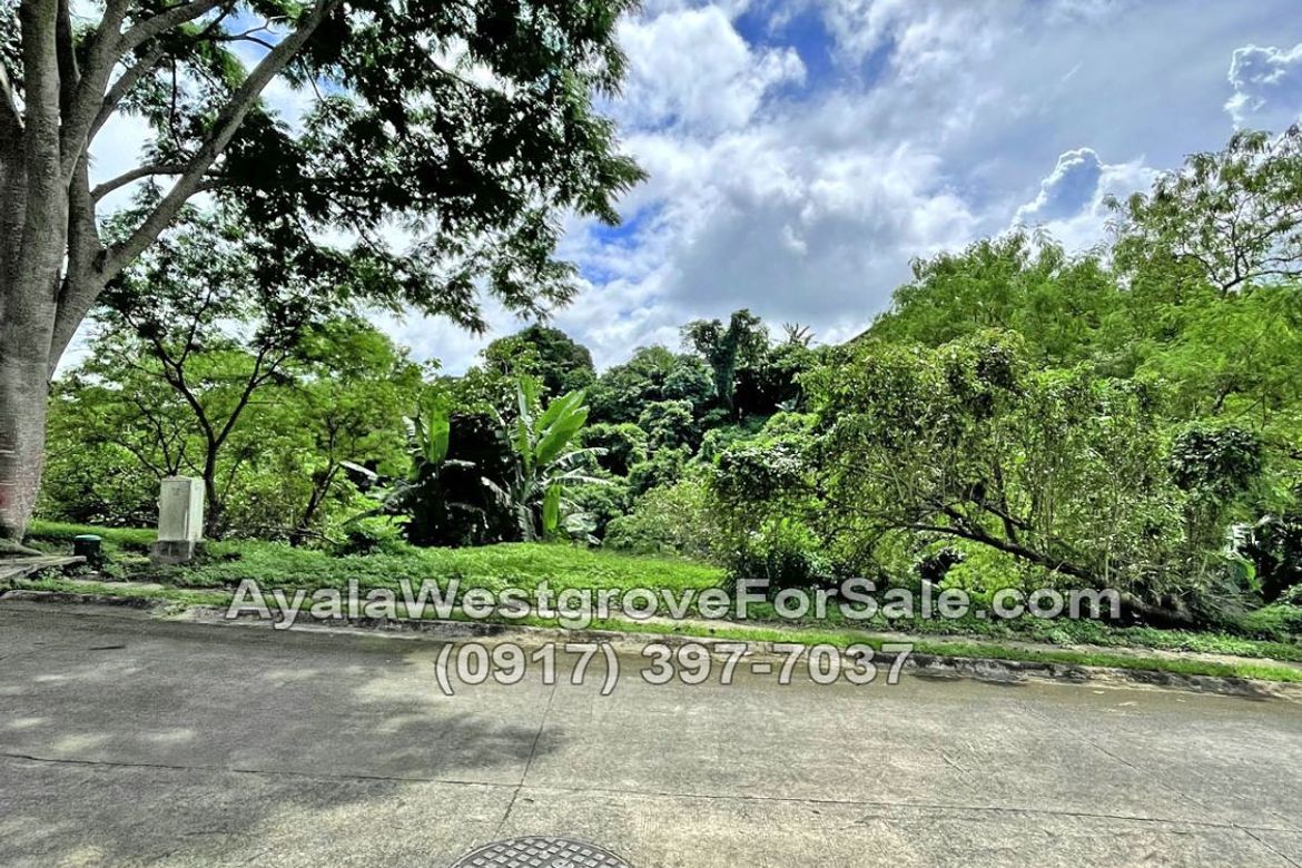 Land for Sale in Ayala Westgrove Heights, Inchican, Silang, Cavite