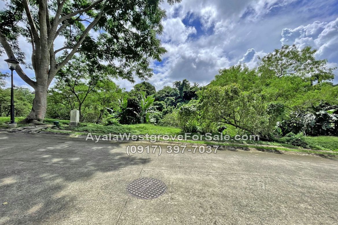 Land for Sale in Ayala Westgrove Heights, Inchican, Silang, Cavite – photo 2