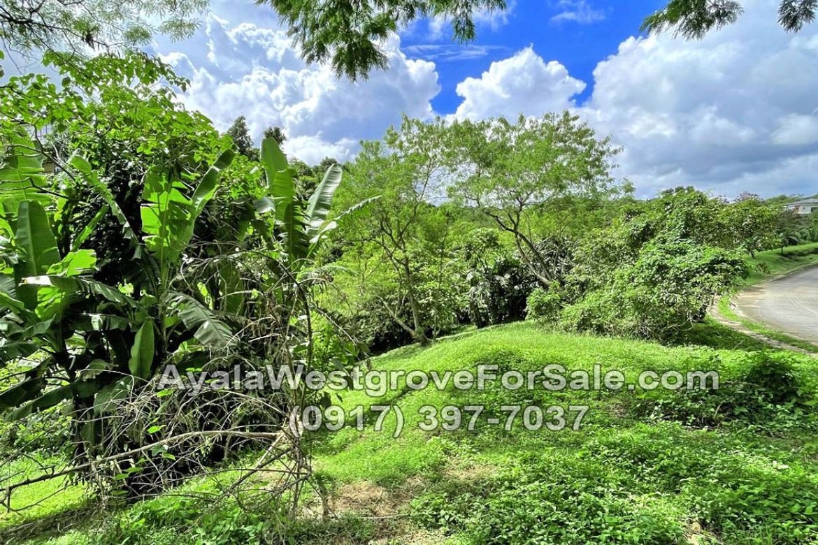 Land for Sale in Ayala Westgrove Heights, Inchican, Silang, Cavite – photo 3