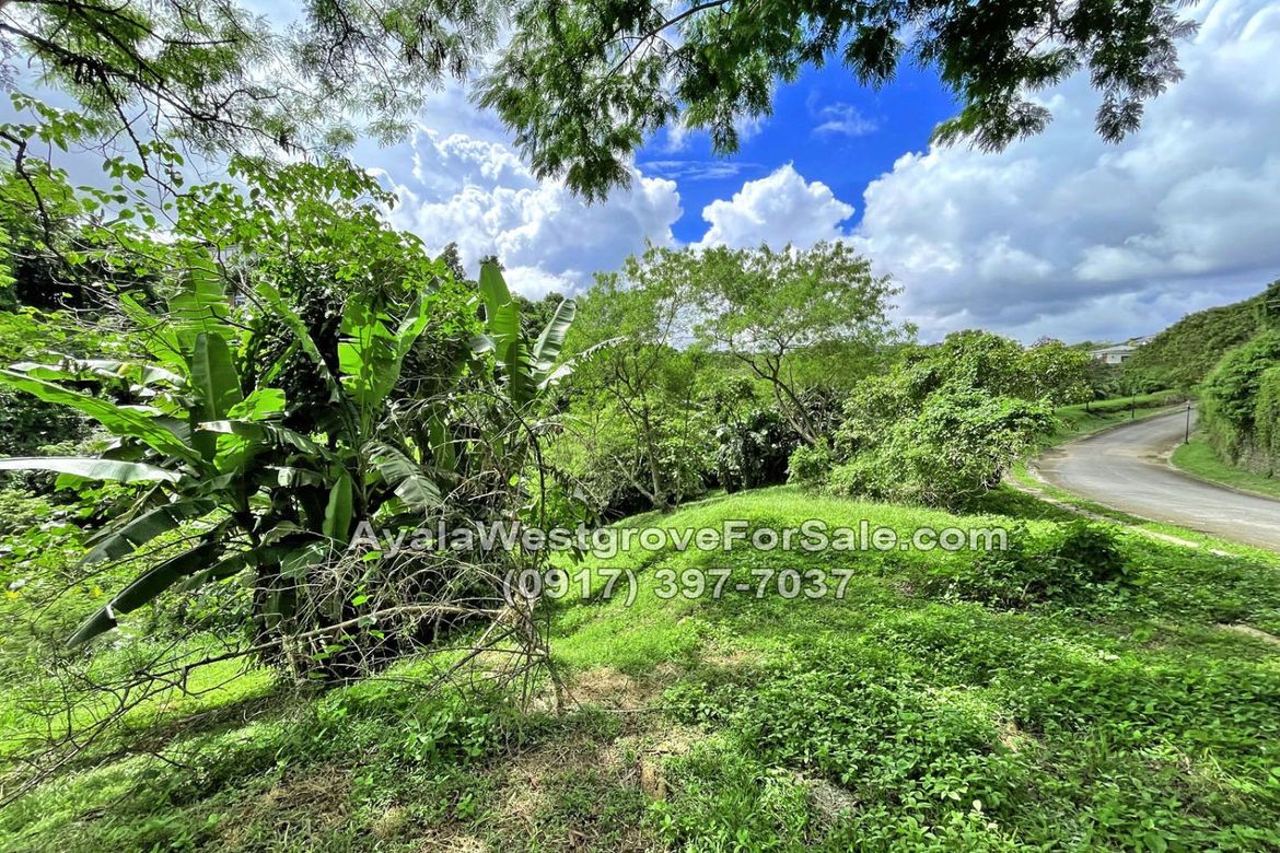 Land for Sale in Ayala Westgrove Heights, Inchican, Silang, Cavite – photo 5