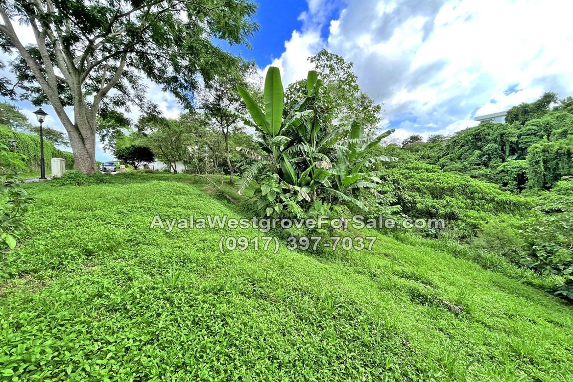 Land for Sale in Ayala Westgrove Heights, Inchican, Silang, Cavite – photo 7