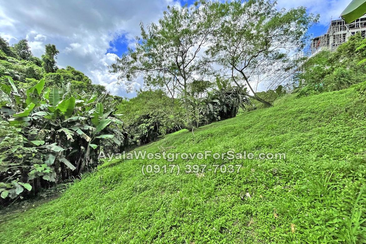 Land for Sale in Ayala Westgrove Heights, Inchican, Silang, Cavite – photo 8