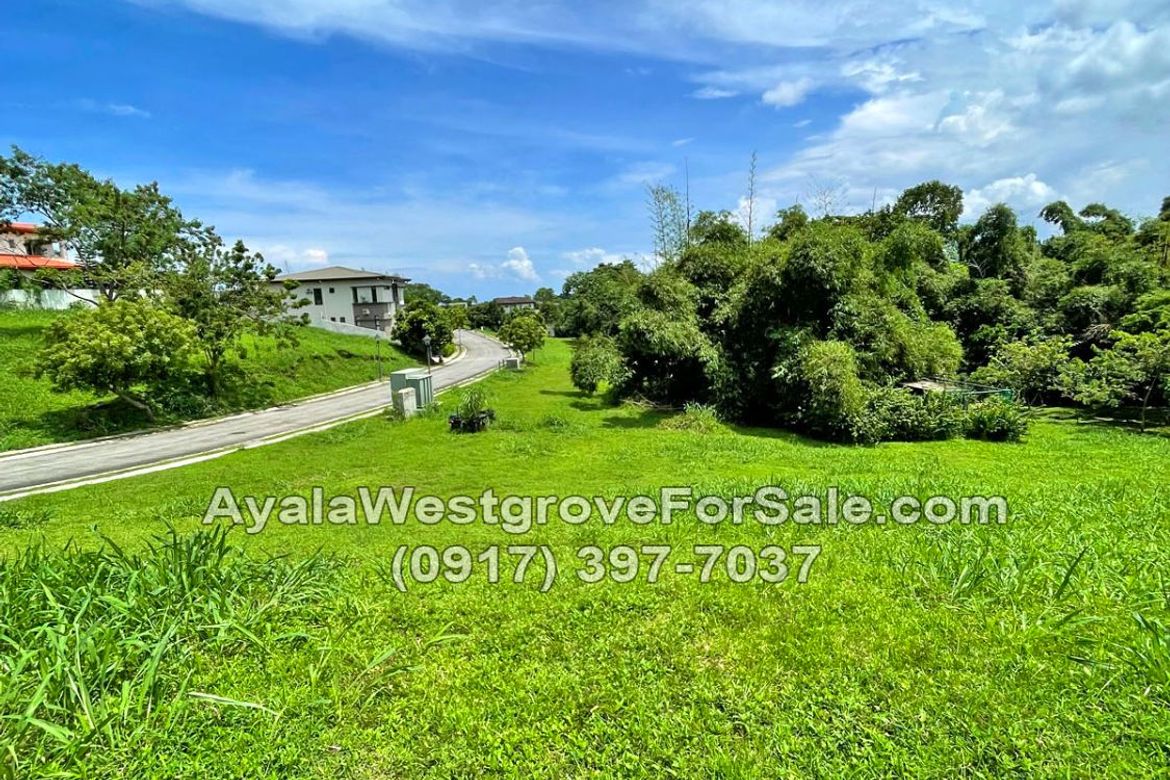 Land for Sale in Ayala Westgrove Heights, Inchican, Silang, Cavite – photo 4