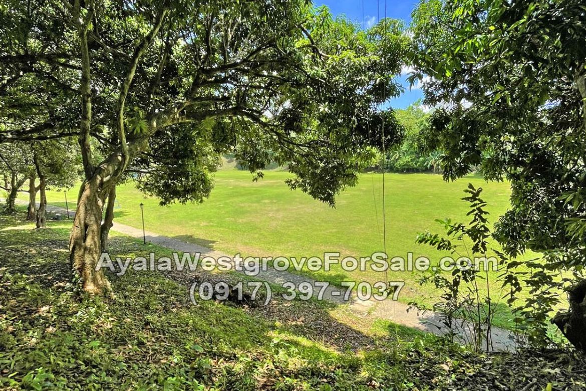 Land for Sale in Ayala Westgrove Heights, Inchican, Silang, Cavite