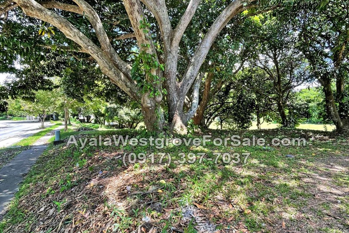 Land for Sale in Ayala Westgrove Heights, Inchican, Silang, Cavite – photo 5