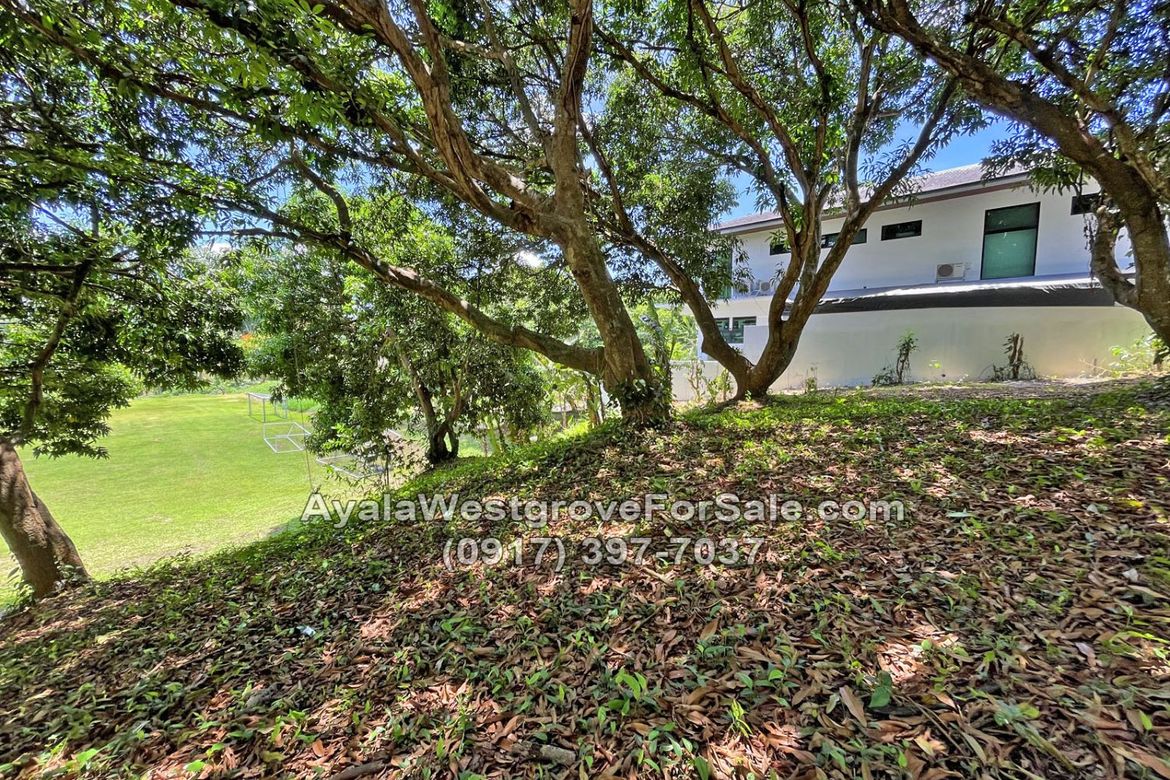 Land for Sale in Ayala Westgrove Heights, Inchican, Silang, Cavite – photo 6