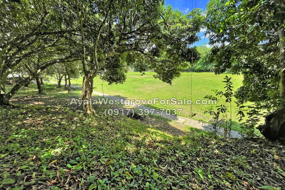 Land for Sale in Ayala Westgrove Heights, Inchican, Silang, Cavite – photo 8