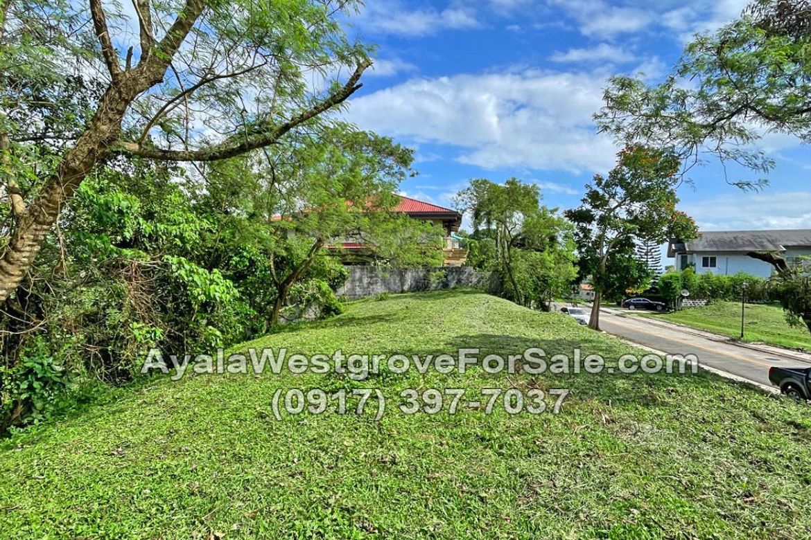 Land for Sale in Ayala Westgrove Heights, Inchican, Silang, Cavite – photo 6