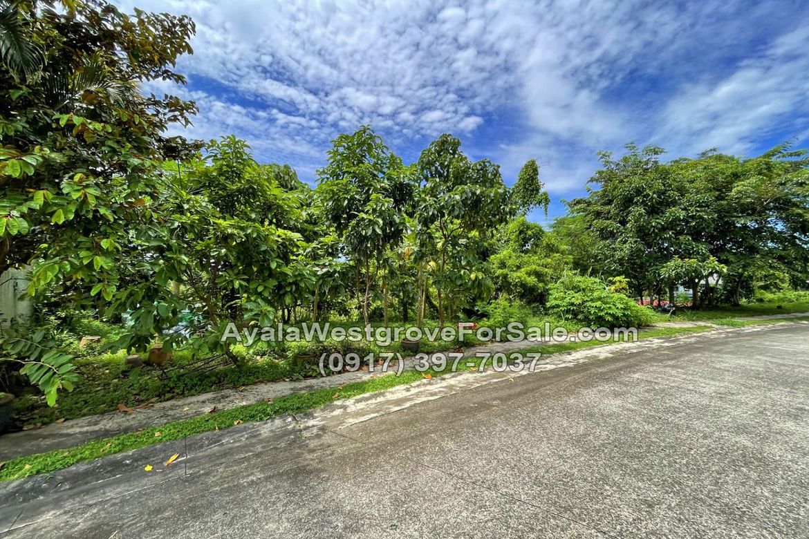 Land for Sale in Ayala Westgrove Heights, Inchican, Silang, Cavite – photo 3