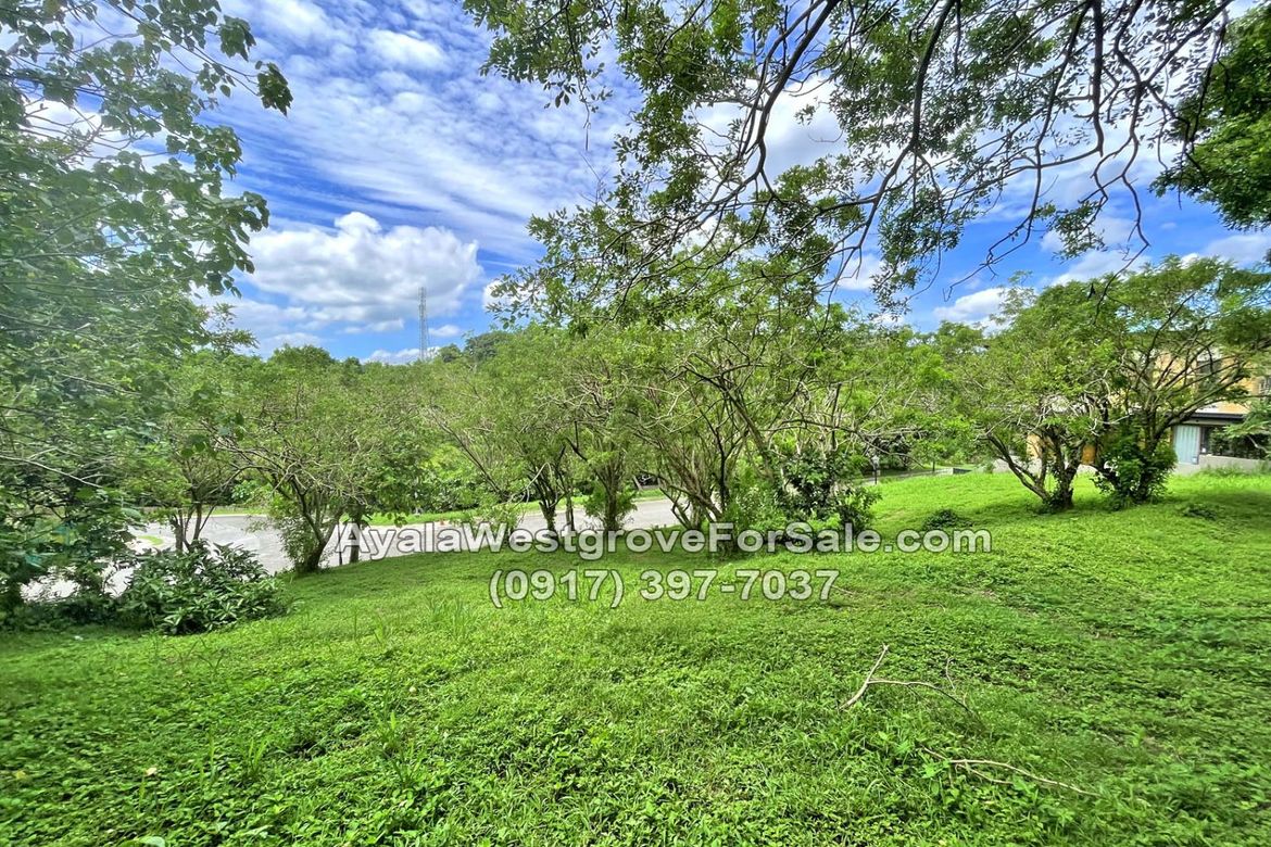 Land for Sale in Ayala Westgrove Heights, Inchican, Silang, Cavite – photo 5