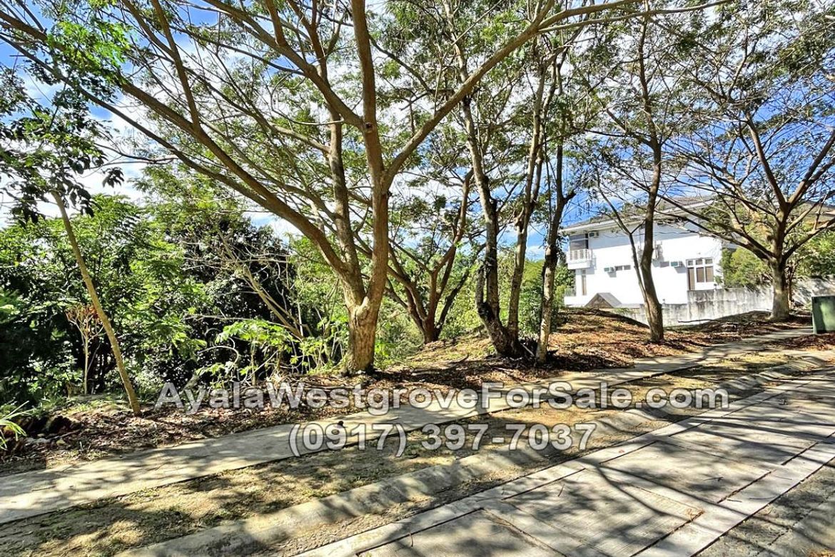 Land for Sale in Ayala Westgrove Heights, Inchican, Silang, Cavite – photo 3