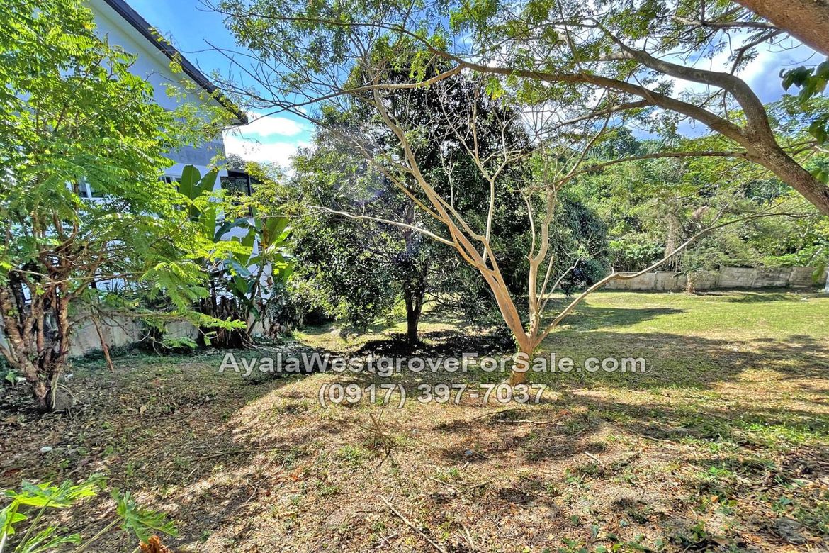 Land for Sale in Ayala Westgrove Heights, Inchican, Silang, Cavite – photo 6