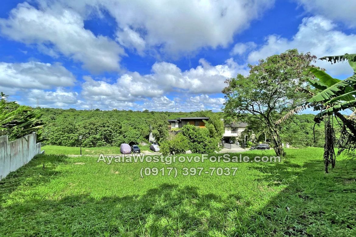 Land for Sale in Ayala Westgrove Heights, Inchican, Silang, Cavite – photo 8