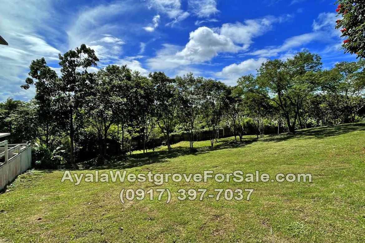 Land for Sale in Ayala Westgrove Heights, Inchican, Silang, Cavite – photo 5