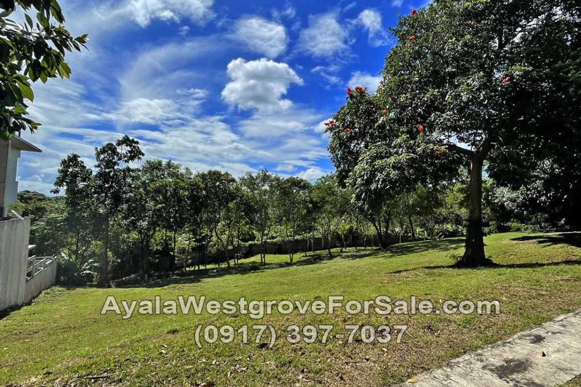 Land for Sale in Ayala Westgrove Heights, Inchican, Silang, Cavite – photo 7