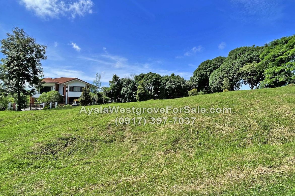 Land for Sale in Ayala Westgrove Heights, Inchican, Silang, Cavite – photo 3