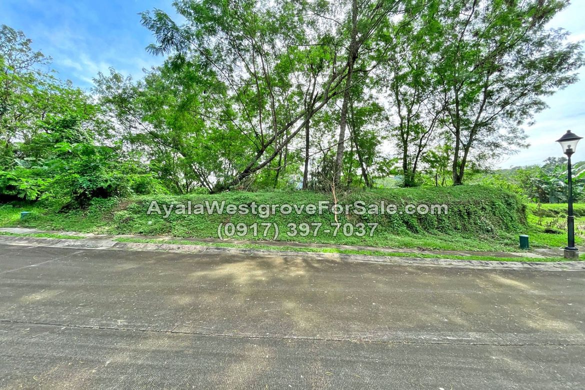 Land for Sale in Ayala Westgrove Heights, Inchican, Silang, Cavite