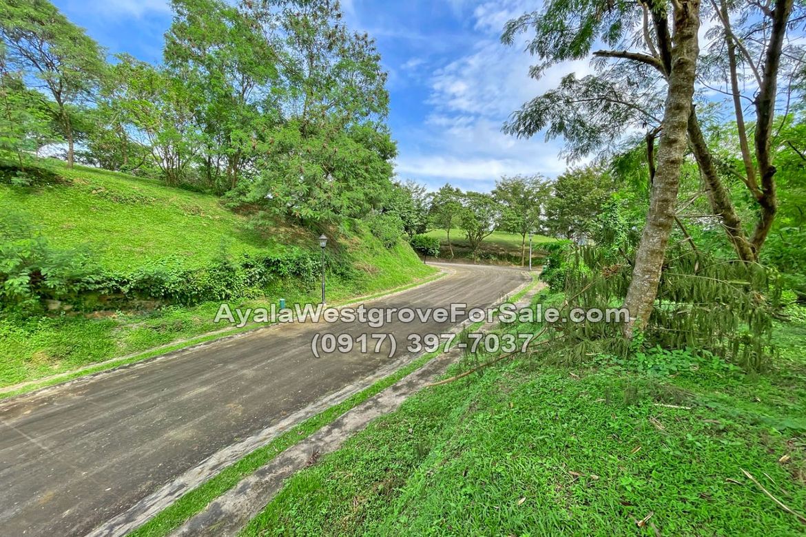 Land for Sale in Ayala Westgrove Heights, Inchican, Silang, Cavite – photo 3