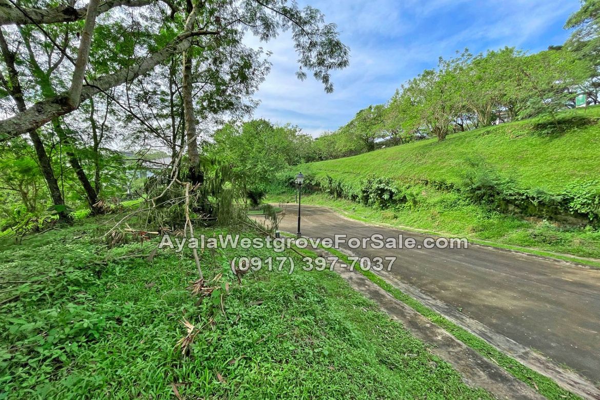 Land for Sale in Ayala Westgrove Heights, Inchican, Silang, Cavite – photo 4