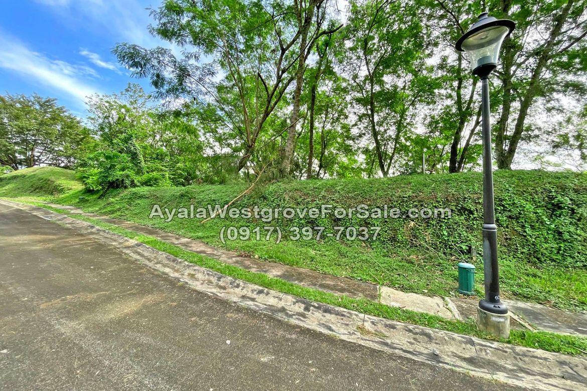 Land for Sale in Ayala Westgrove Heights, Inchican, Silang, Cavite – photo 5