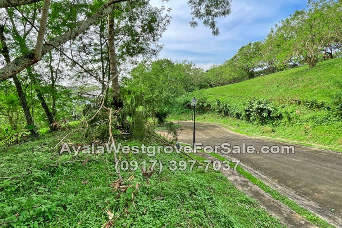 Land for Sale in Ayala Westgrove Heights, Inchican, Silang, Cavite – photo 6