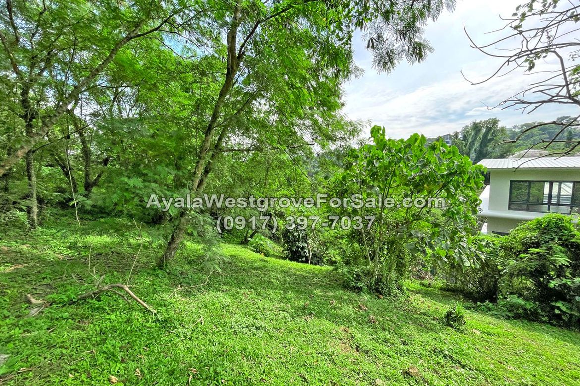 Land for Sale in Ayala Westgrove Heights, Inchican, Silang, Cavite – photo 8