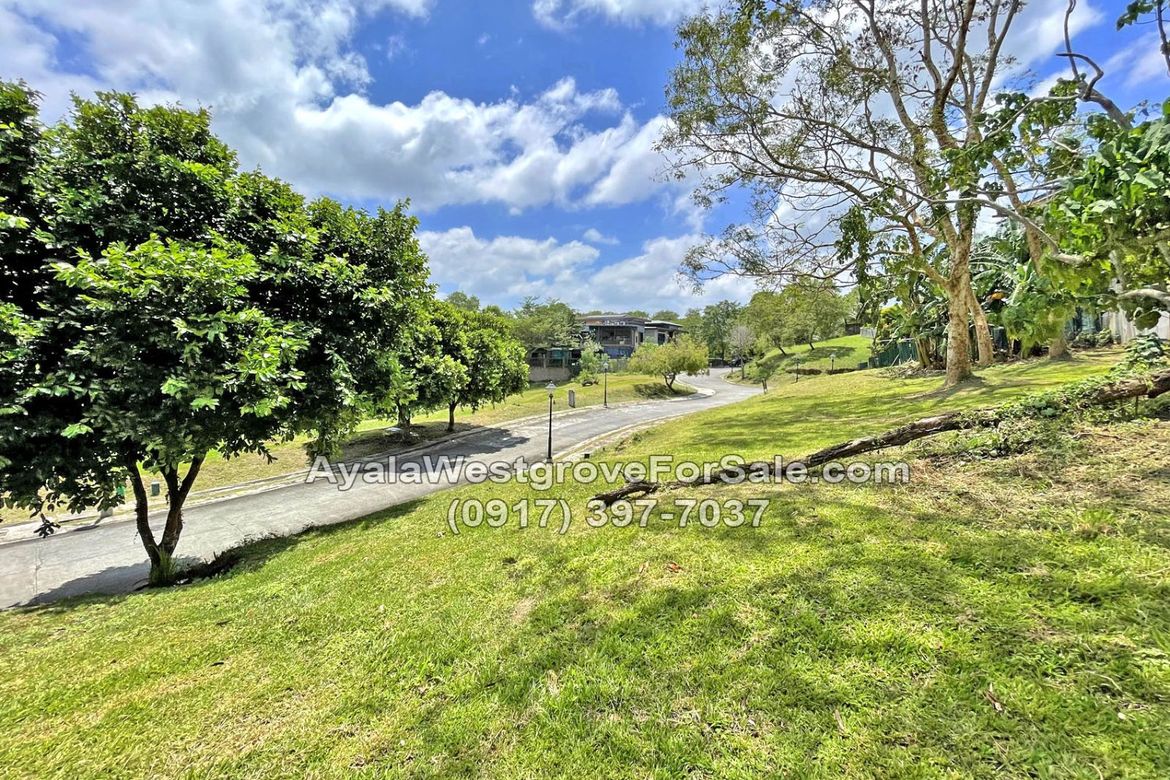 Land for Sale in Ayala Westgrove Heights, Inchican, Silang, Cavite – photo 2