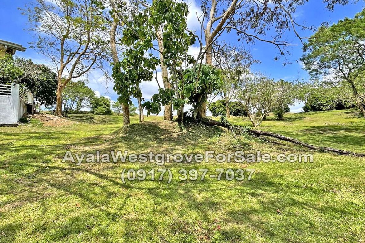 Land for Sale in Ayala Westgrove Heights, Inchican, Silang, Cavite – photo 3