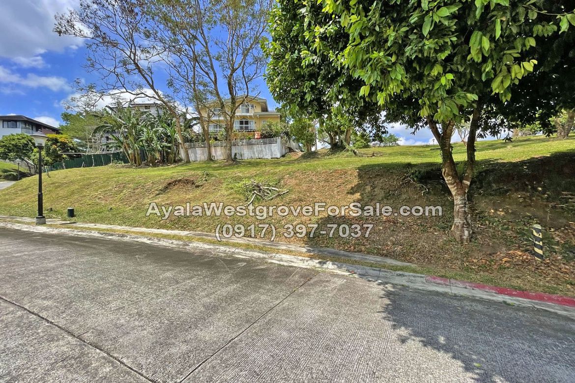 Land for Sale in Ayala Westgrove Heights, Inchican, Silang, Cavite – photo 4