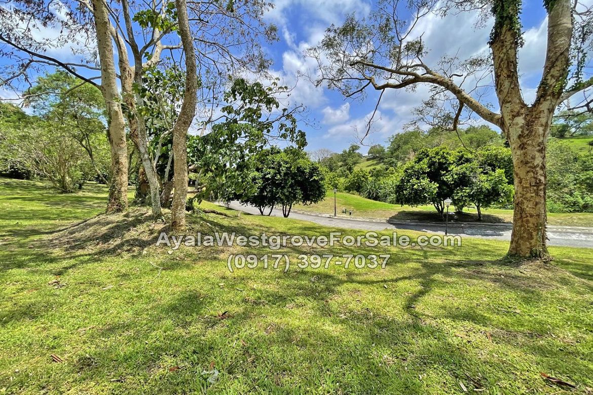 Land for Sale in Ayala Westgrove Heights, Inchican, Silang, Cavite – photo 6