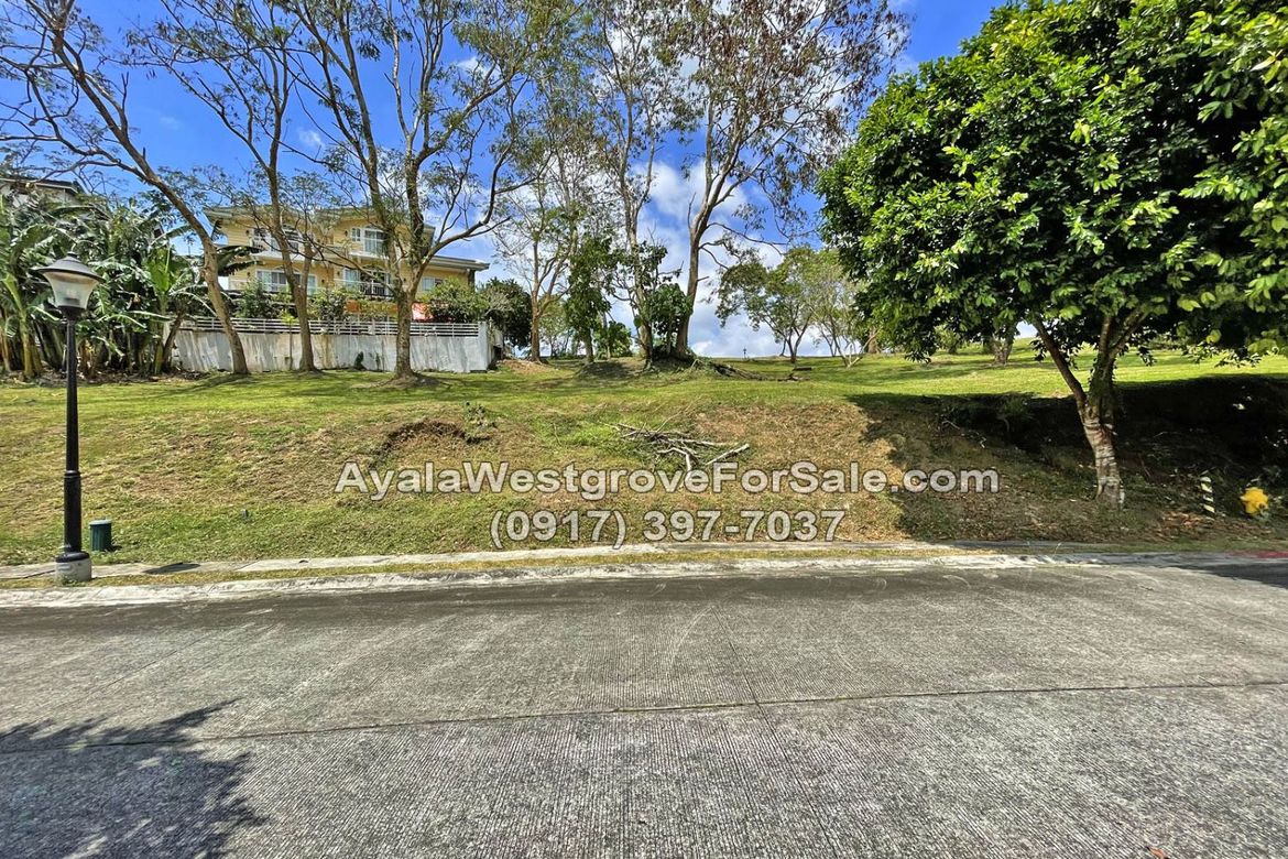Land for Sale in Ayala Westgrove Heights, Inchican, Silang, Cavite – photo 7