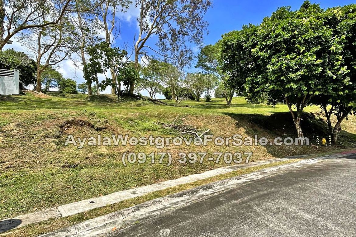 Land for Sale in Ayala Westgrove Heights, Inchican, Silang, Cavite – photo 8
