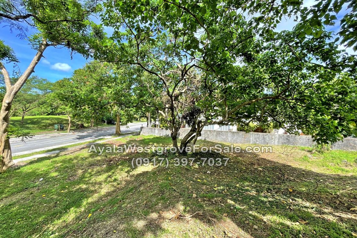Land for Sale in Ayala Westgrove Heights, Inchican, Silang, Cavite