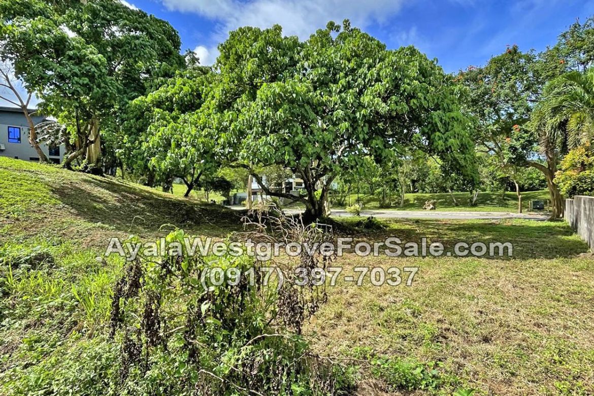 Land for Sale in Ayala Westgrove Heights, Inchican, Silang, Cavite – photo 2